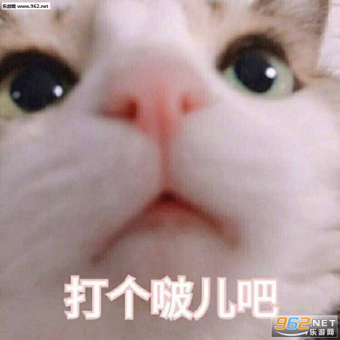 �������е������ӱ����