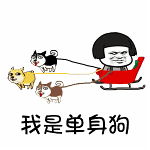 ���ǵ����������