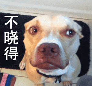 ҡͷ�����gif