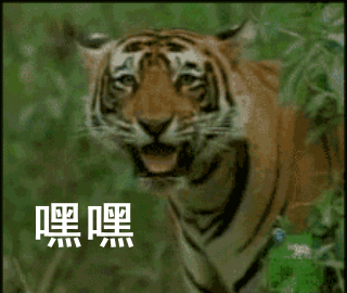 ҡͷ�����gif