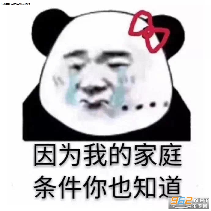 小熊猫解开丸子头表情图片
