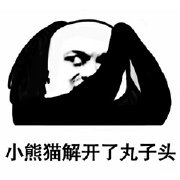 小熊猫解开丸子头表情图片
