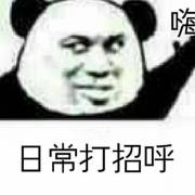 小熊猫解开丸子头表情图片