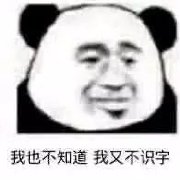 小熊猫解开丸子头表情图片