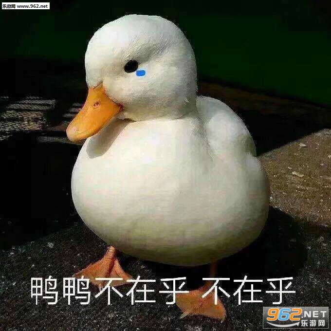 鸡就是鸡五颜六色还是鸡表情包图片 鸡就是鸡五颜六色还是鸡表情包图片