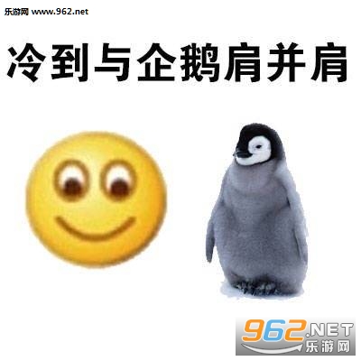 �䵽�����������