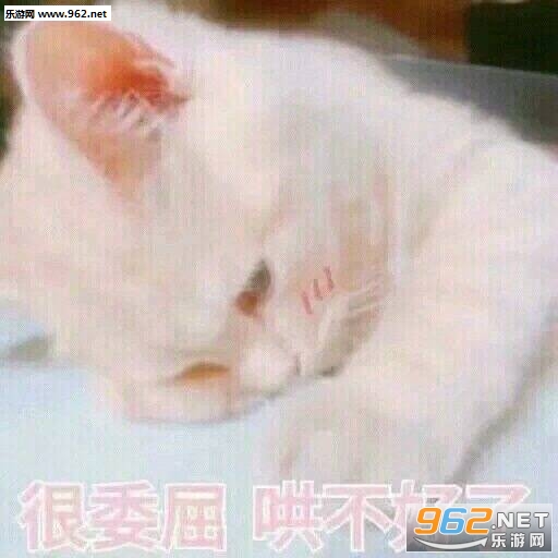 ��ί���岻���˱����ͼƬ