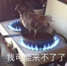 һ�����Ư����Ů�������ͼƬ