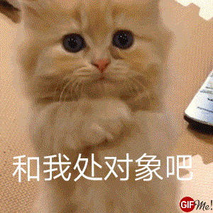 ɧ���׸�������Ʊ����ͼƬ