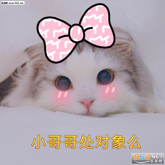 小哥哥小姐姐处对象么软萌表情包