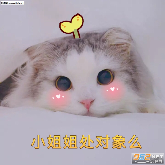 小哥哥小姐姐处对象么软萌表情包