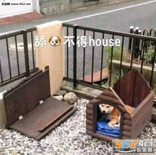 �򹷲���house�����