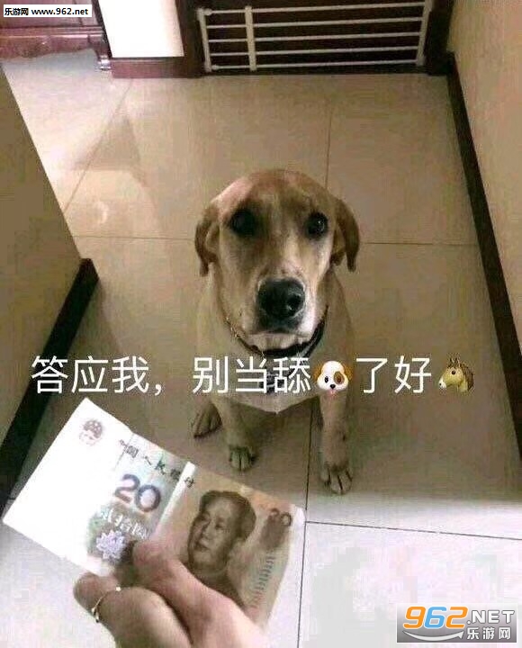 ��Ӧ�ұ����˺����򹷱����