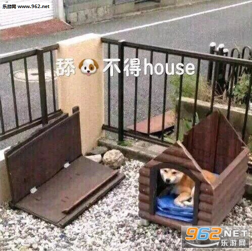 ��Ӧ�ұ����˺����򹷱����