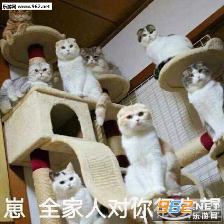 �ͳ����С���������