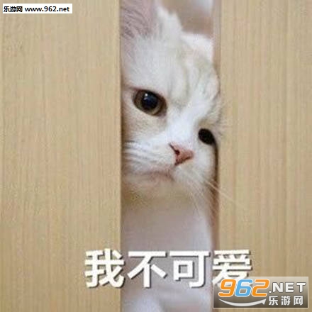 ����֤������