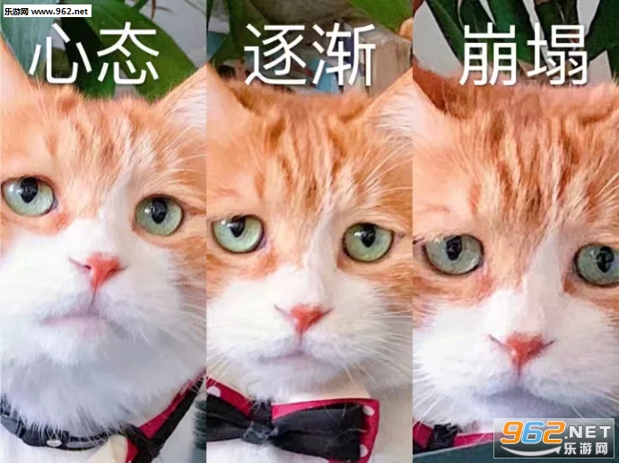 �޳����˱����ͼƬ