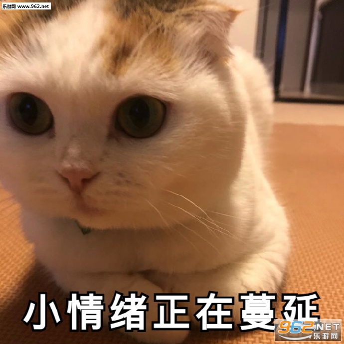 ��������㲻���ð������ͼƬ