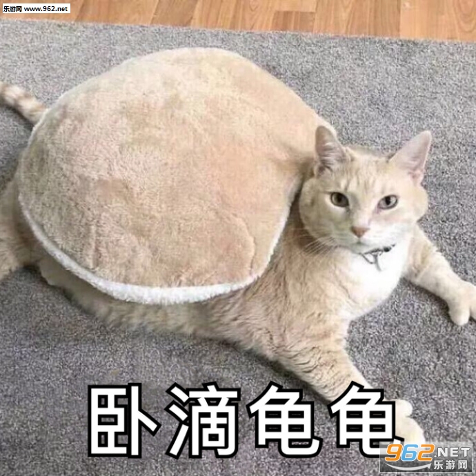 ��������㲻���ð������ͼƬ