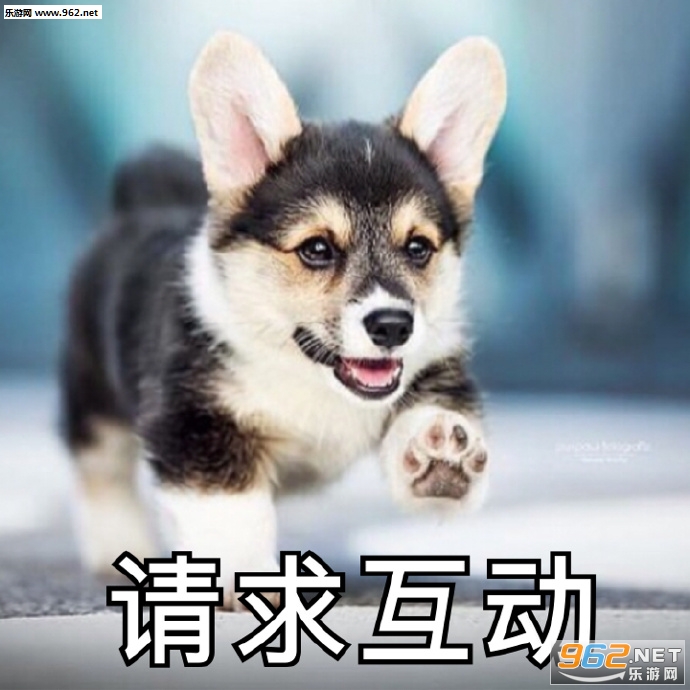 ��������㲻���ð������ͼƬ