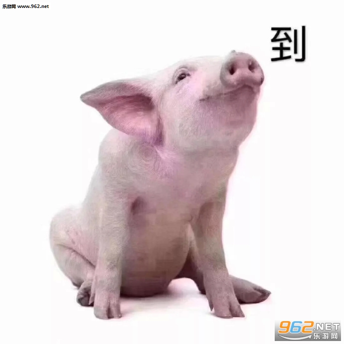 ����������ʺ�����