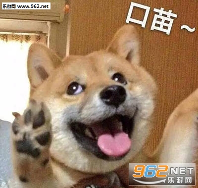 转账中烧纸钱沙雕表情包
