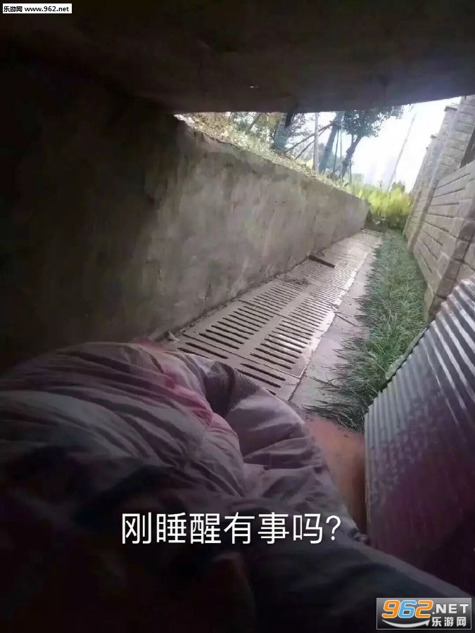 转账中烧纸钱沙雕表情包
