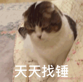 ���ڹ�������ͼƬ
