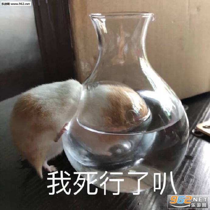 ���ڹ�������ͼƬ