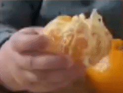 ���������Ӷ�̬�����