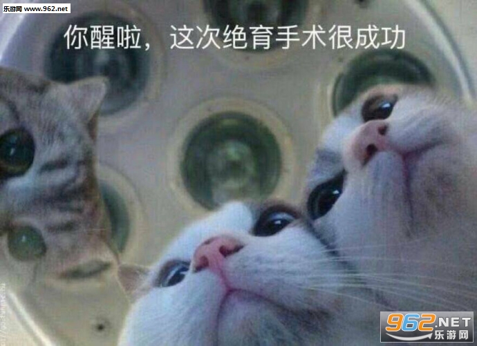 ħ�ɵ����ͱ����