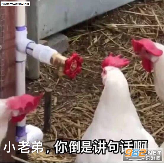 ħ�ɵ����ͱ����