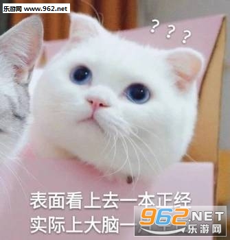 ��Ҫը�˱����ͼƬ