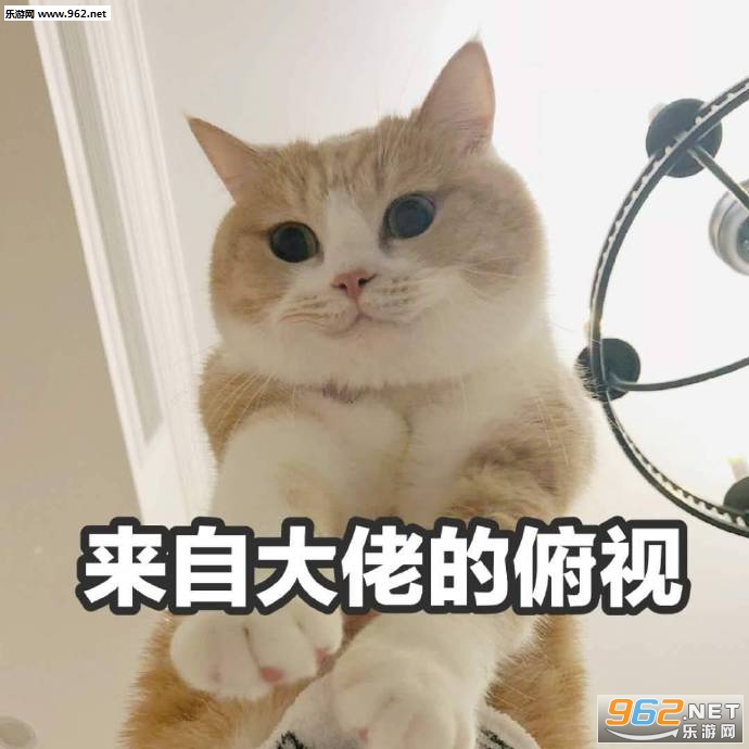 �н�Ŀcall�ұ����ͼƬ