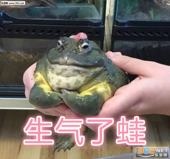 �������ޱ����