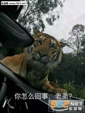 ��ҹ������������ּ����˱����