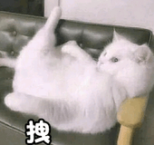莫挨老子表情包 莫挨老子表情包