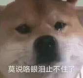 莫挨老子表情包 莫挨老子表情包