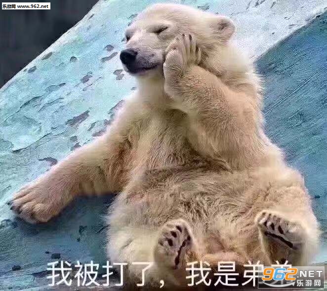 ҩ����������ͼƬ