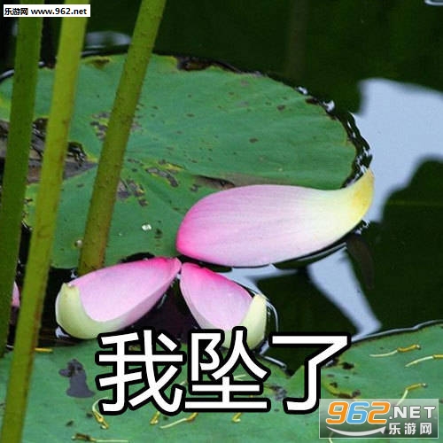 我自闭了荷花表情包
