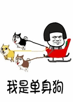 ���ǵ����������