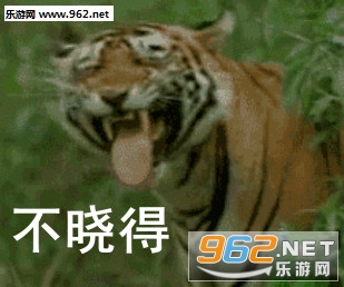ҡͷ�����gif��ͼ2