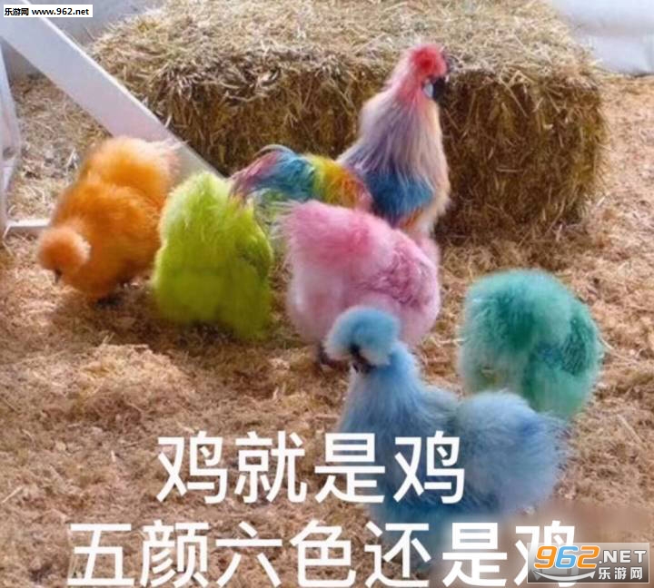 �����Ǽ�������ɫ���Ǽ������ͼƬ��ͼ0