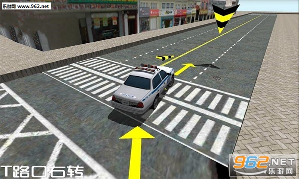 驾考模拟3D安卓版截图1