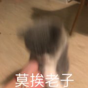 �����˱������ͼ0