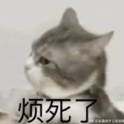 �����˱������ͼ3