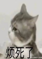 �����˱����