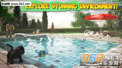 ģ��è��(Cat Simulator)�ٷ����ͼ4