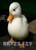 ѼѼ���ں�СѼ�ӱ����