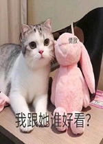 �Ҹ���˭�ÿ������